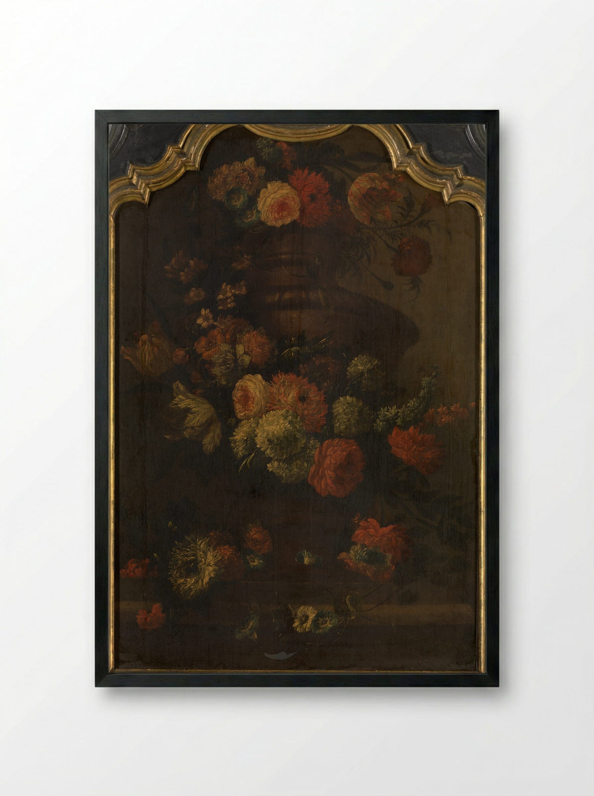 Papegaai (Floral Still Life) - Peter Casteels III - Framed Print Black