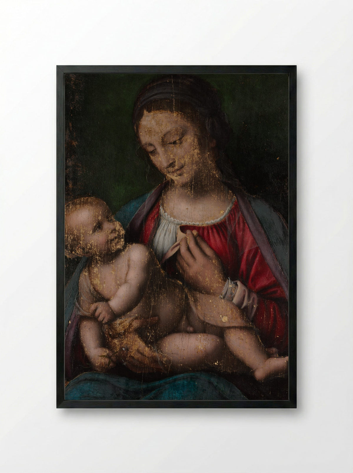 Virgin and Child - Bernardino Luini - Framed Print Black