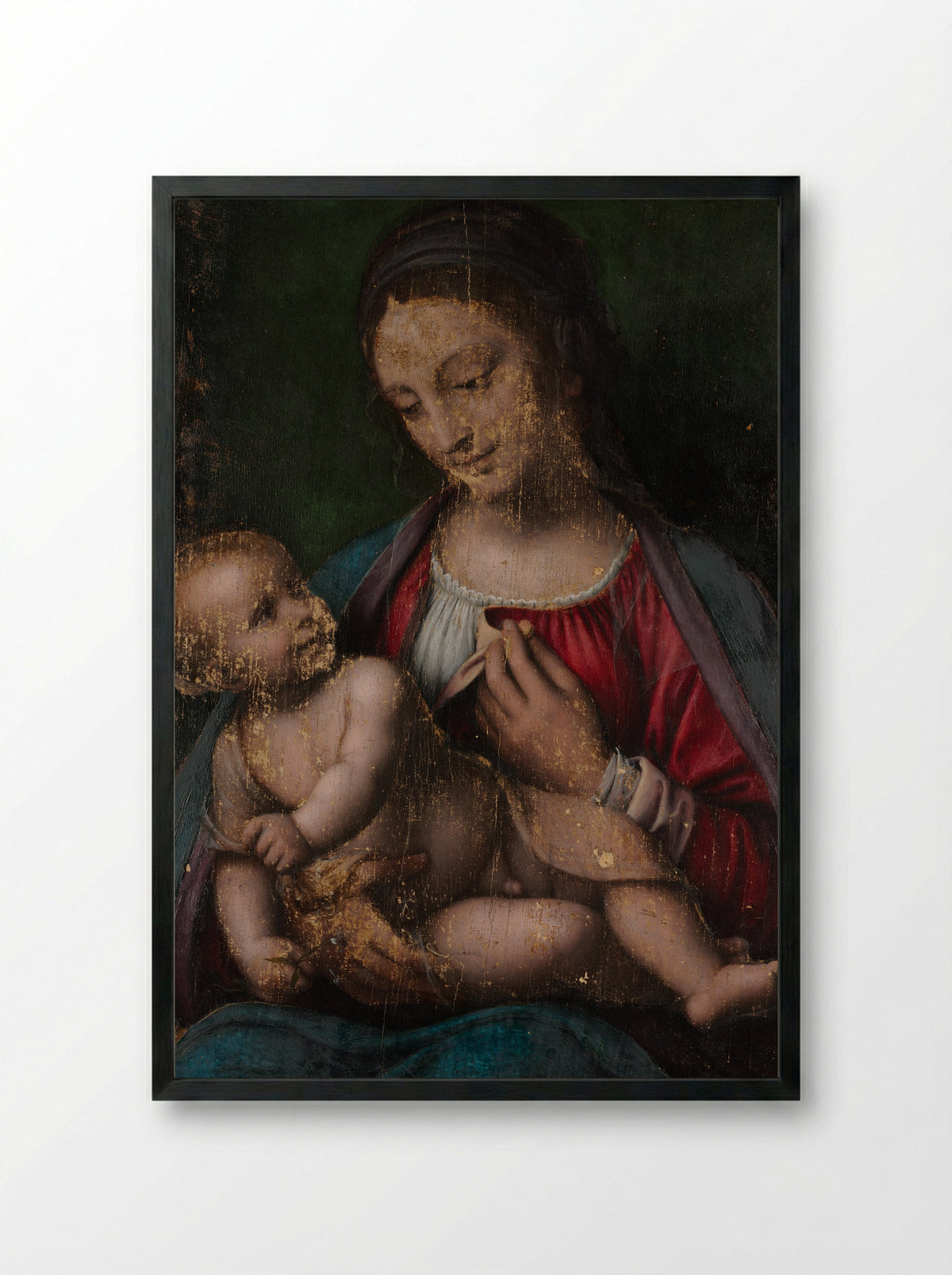 Virgin and Child - Bernardino Luini - Framed Print Black