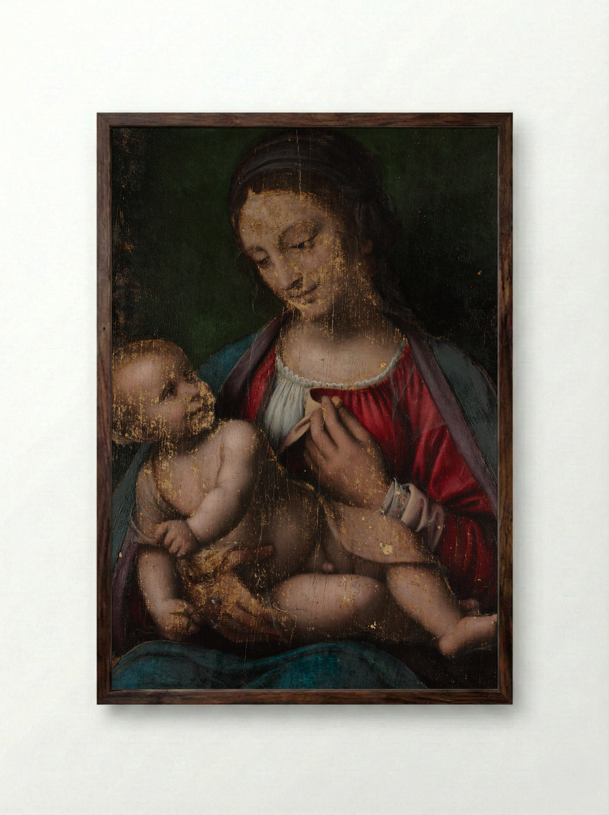 Virgin and Child - Bernardino Luini - Framed Print Dark Wood