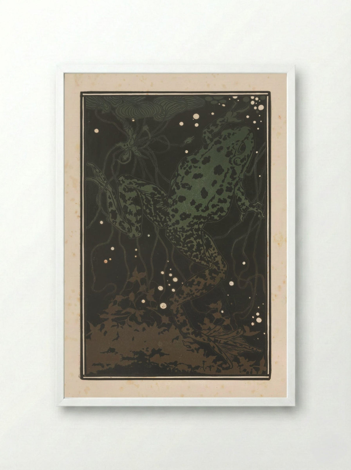 Zwemmende kikker (Swimming Frog) - Julie de Graag - Framed Print White