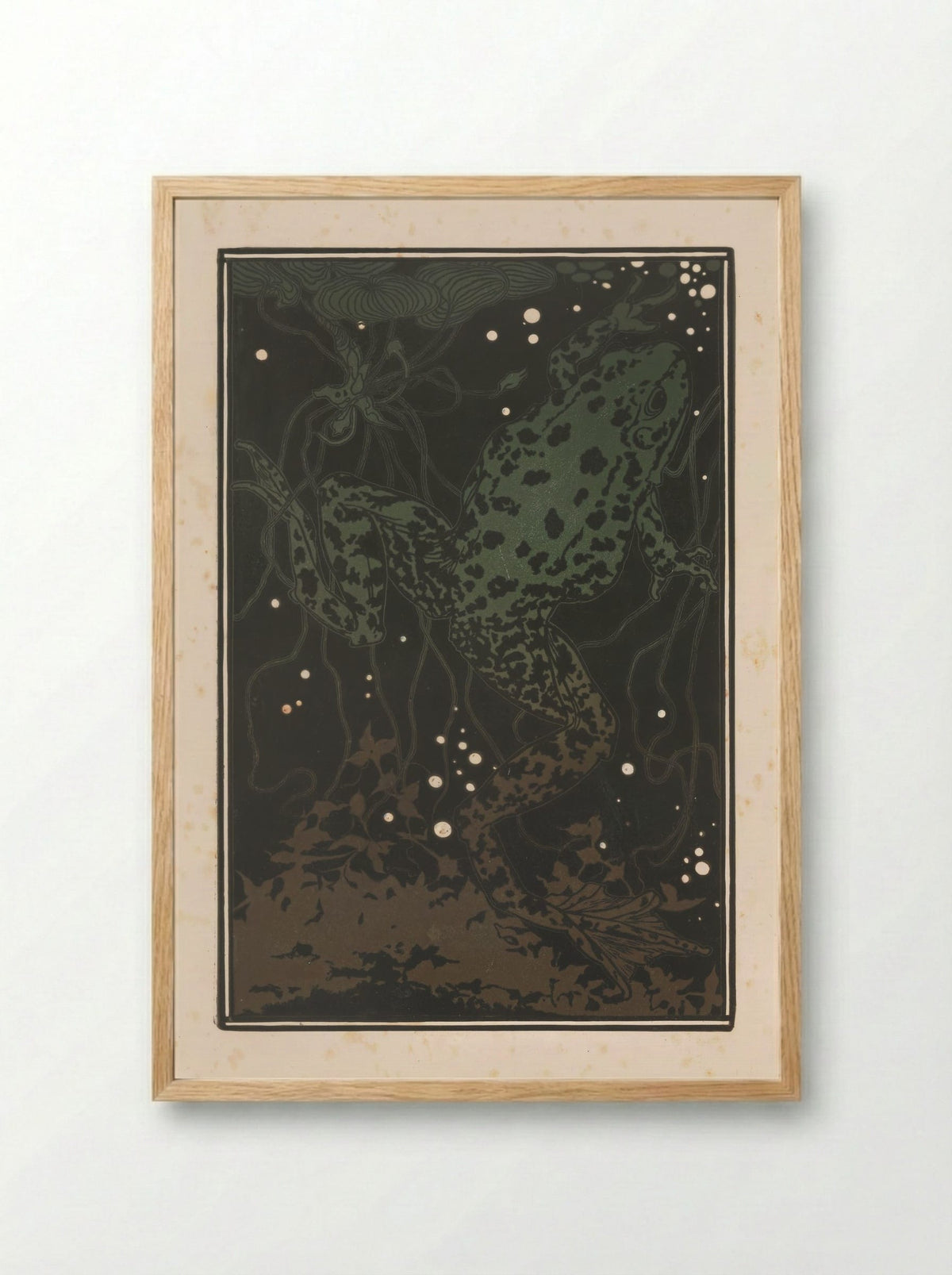 Zwemmende kikker (Swimming Frog) - Julie de Graag - Framed Print Wood