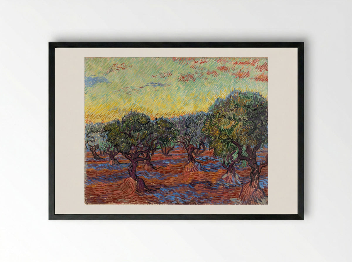 Olive Grove - Vincent van Gogh - Framed Print Black