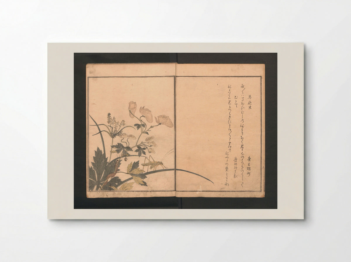 Picture Book of Crawling Creatures - Kitagawa Utamaro - Poster