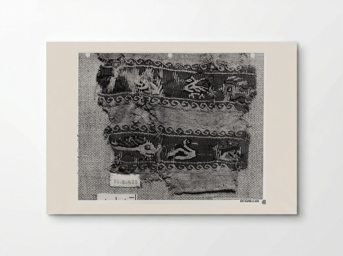 Fragment of a Sleeve - Fine Art Print - Poster