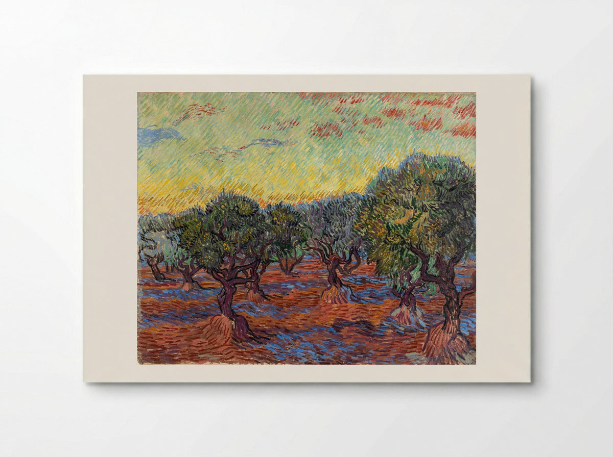 Olive Grove - Vincent van Gogh - Poster