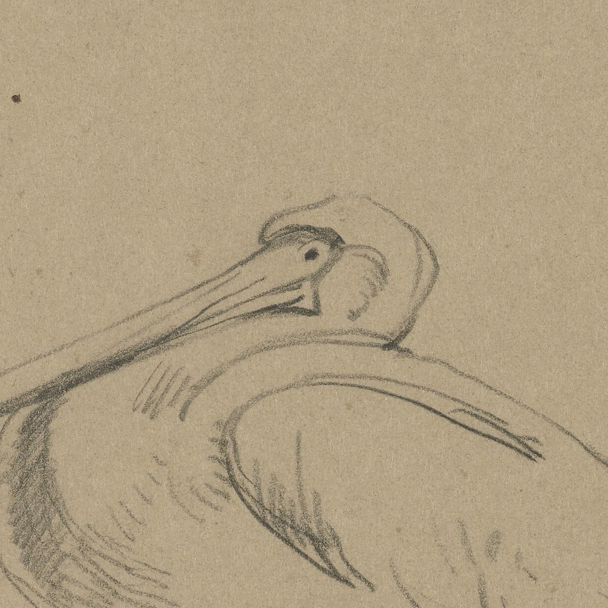 Pelikanen - Guillaume Anne van der Brugghen - Artwork detail