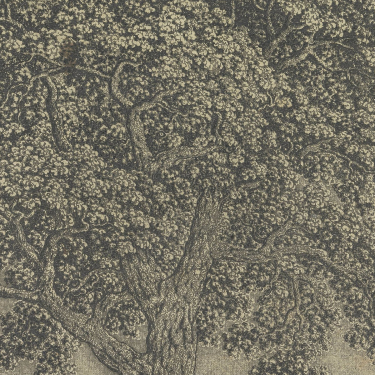 The Large Tree - Hercules Segers - Artwork detail