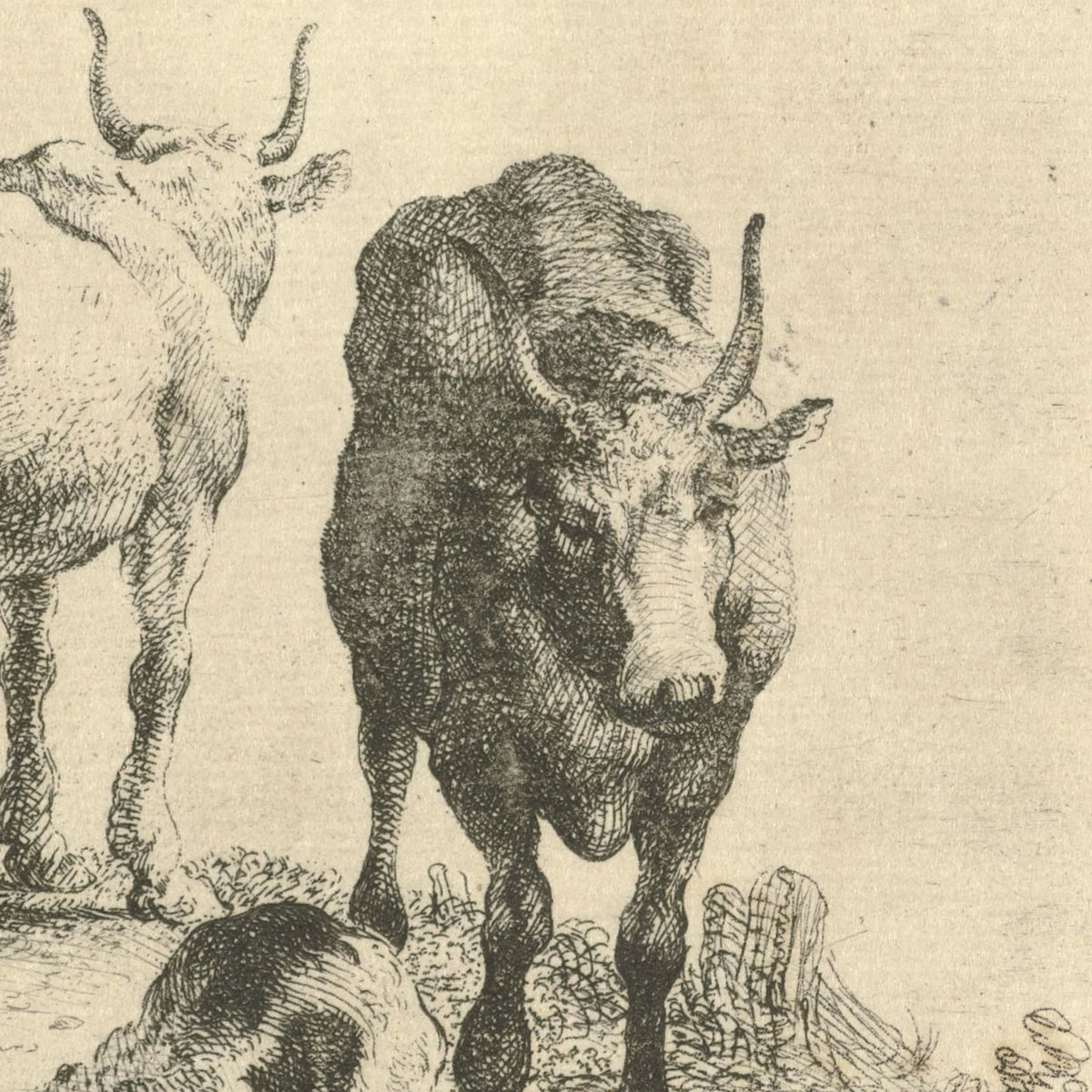 Landschap met vee en een melkmeid - Jan van Noordt - Artwork detail