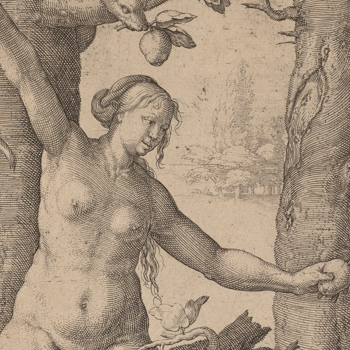 The Fall of Man - Lucas van Leyden - Artwork detail