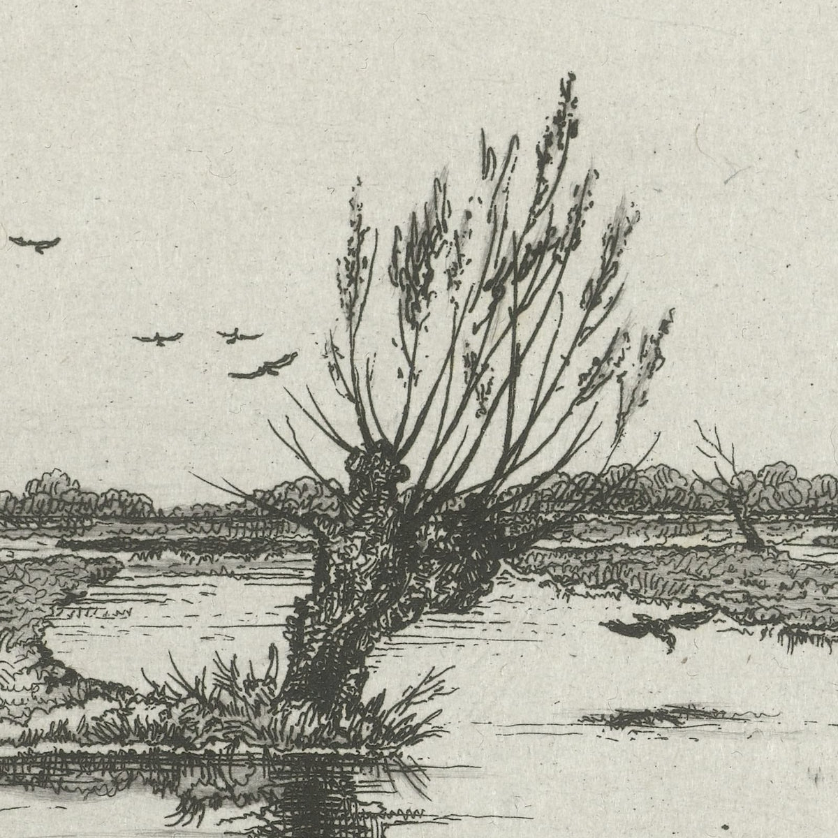 Veenplas - Jacobus Ludovicus Cornet - Artwork detail