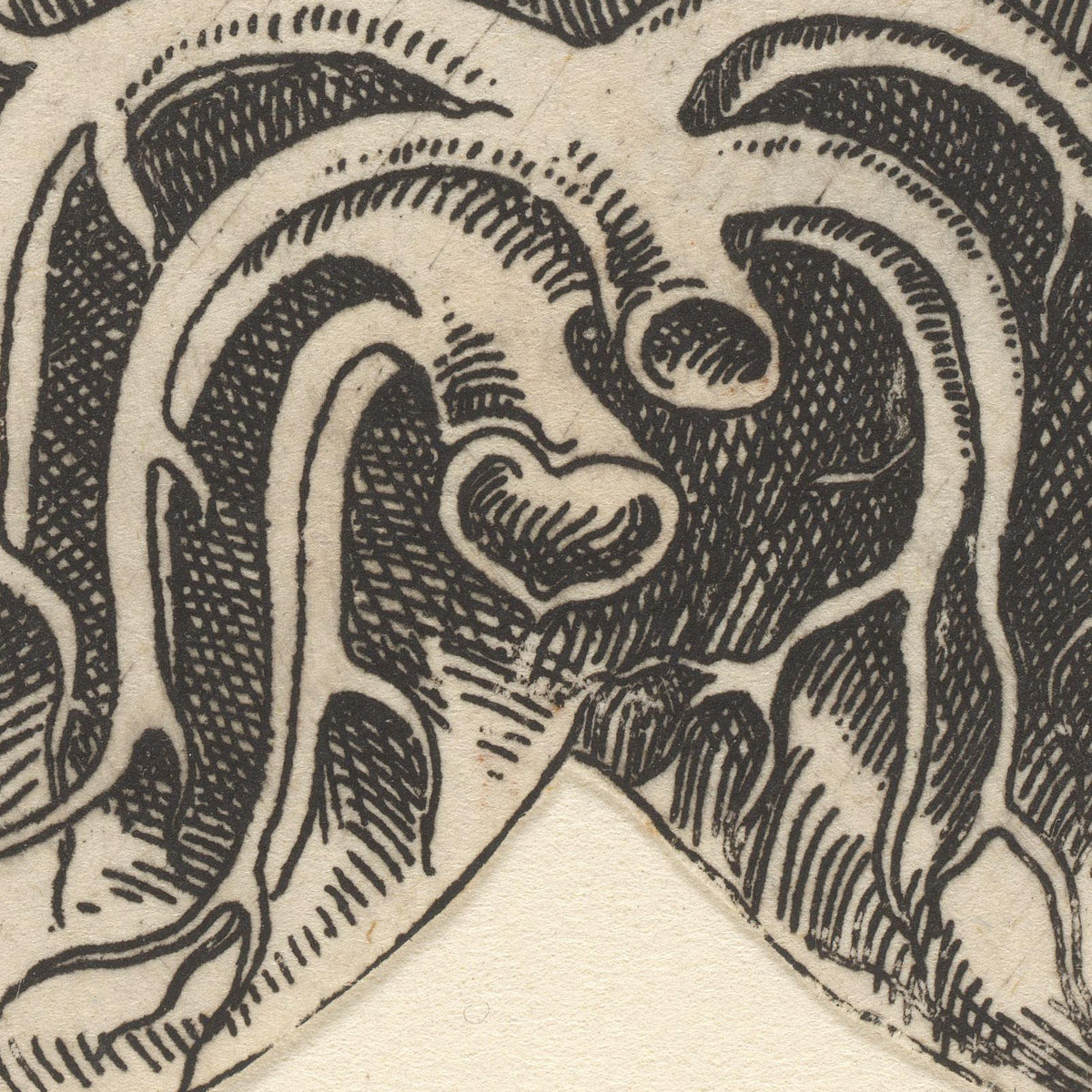 Dwarsdoorsnede longen - Lucas Kilian - Artwork detail