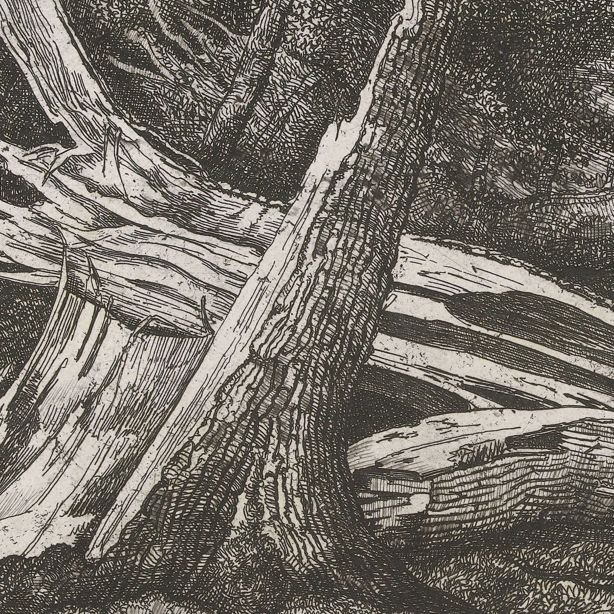 Gevelde bomen na een storm - Jacobus Ludovicus Cornet - Artwork detail