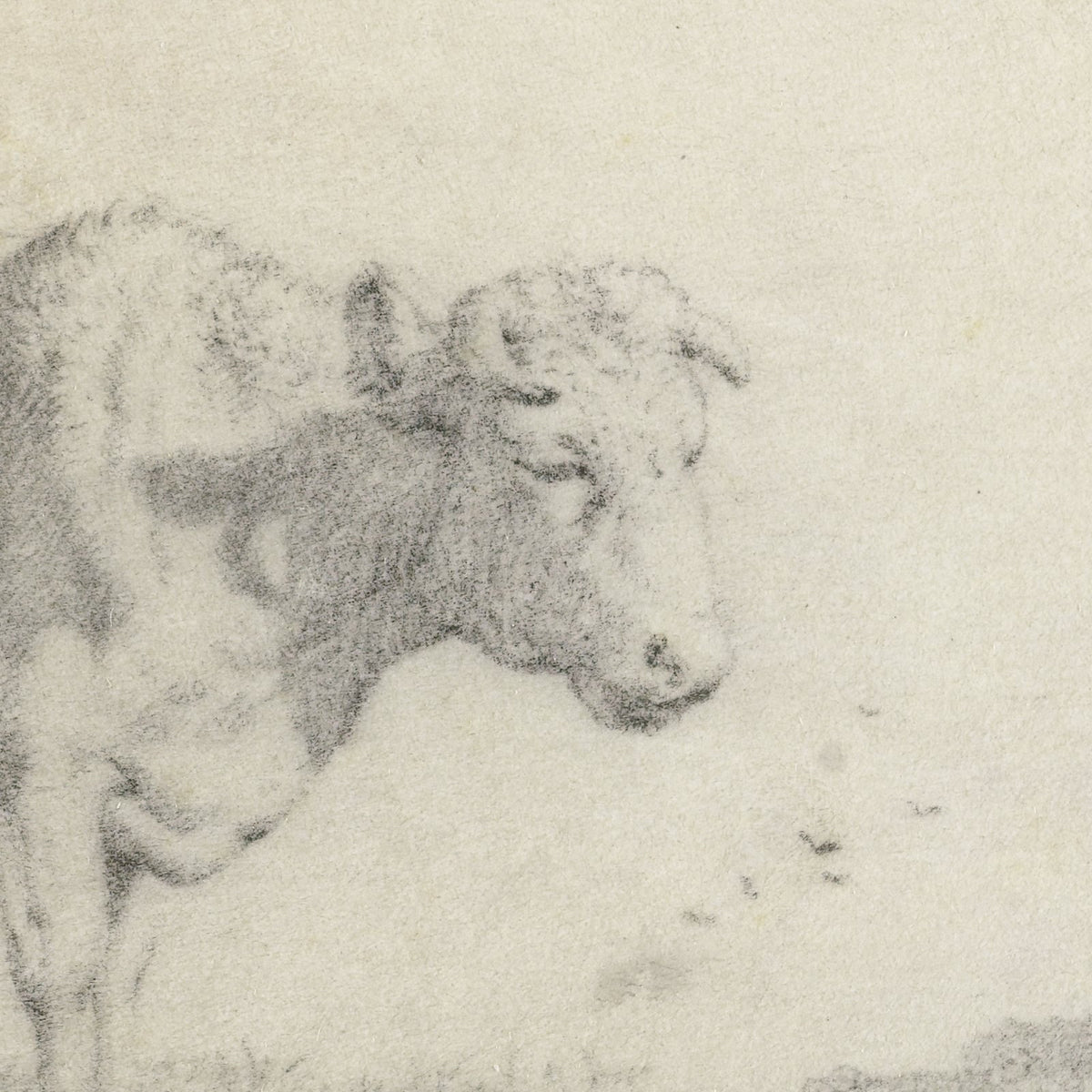 Paard en een koe bij een boom - Paulus Potter - Artwork detail