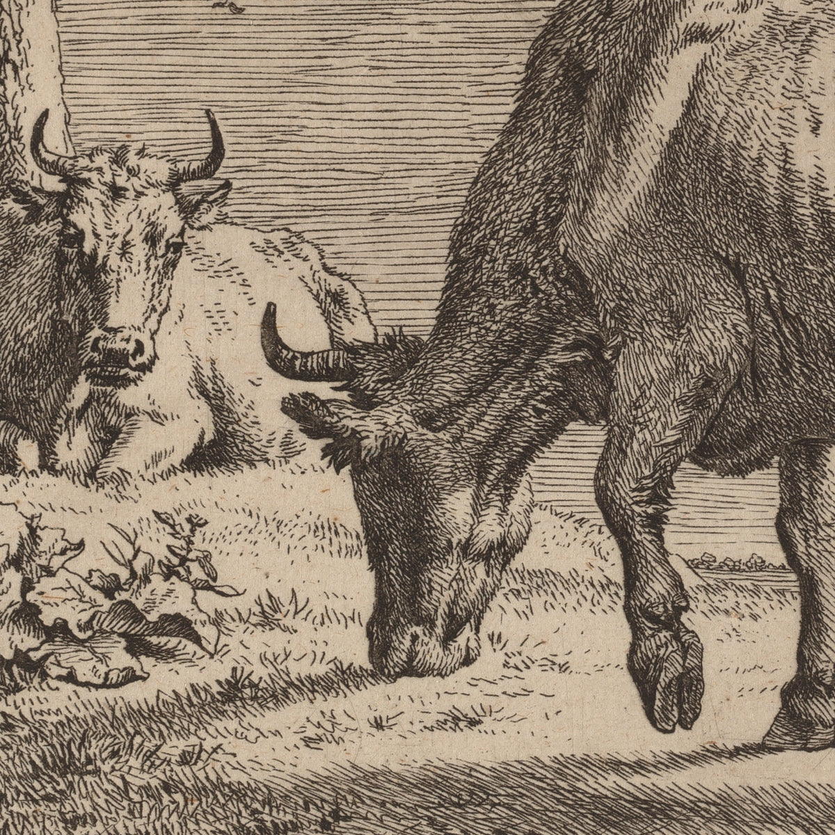 The Grazing Cow - Paulus Potter - Artwork detail