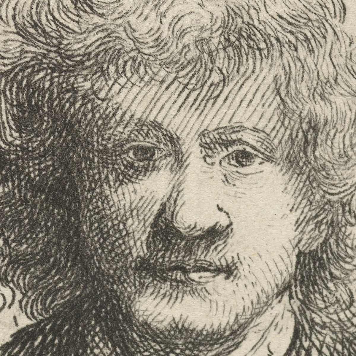 Self-Portrait with Broad Nose - Rembrandt van Rijn - Artwork detail