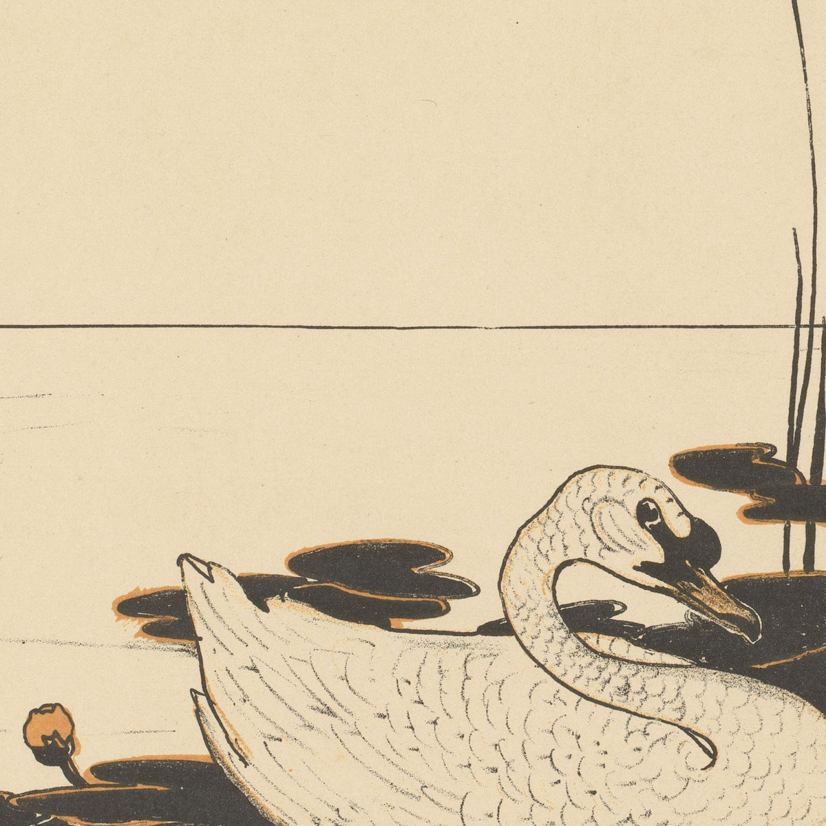 Zwemmende zwaan - Theo van Hoytema - Artwork detail