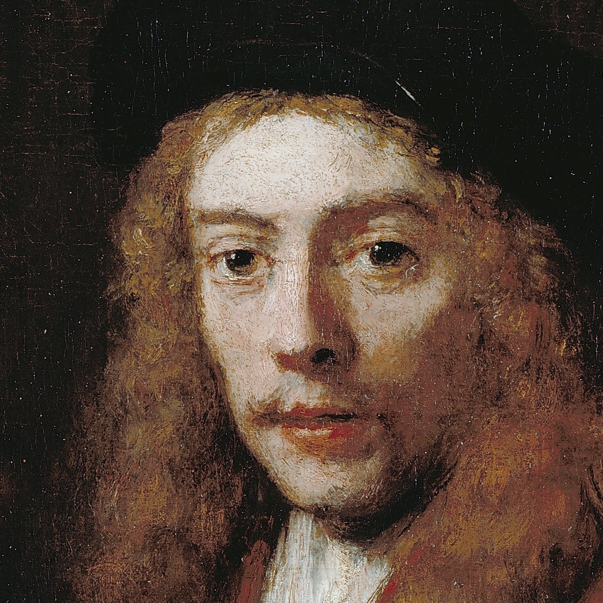 Portrait of a Young Man - Rembrandt van Rijn - Artwork detail