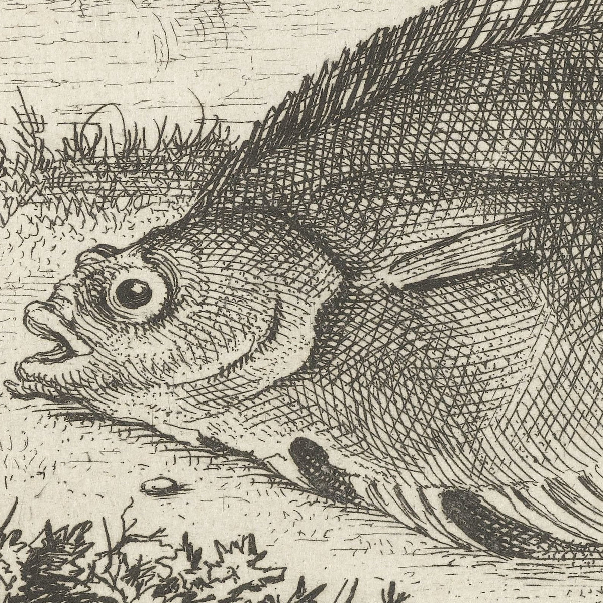 Twee scharren op het strand - Albert Flamen - Artwork detail