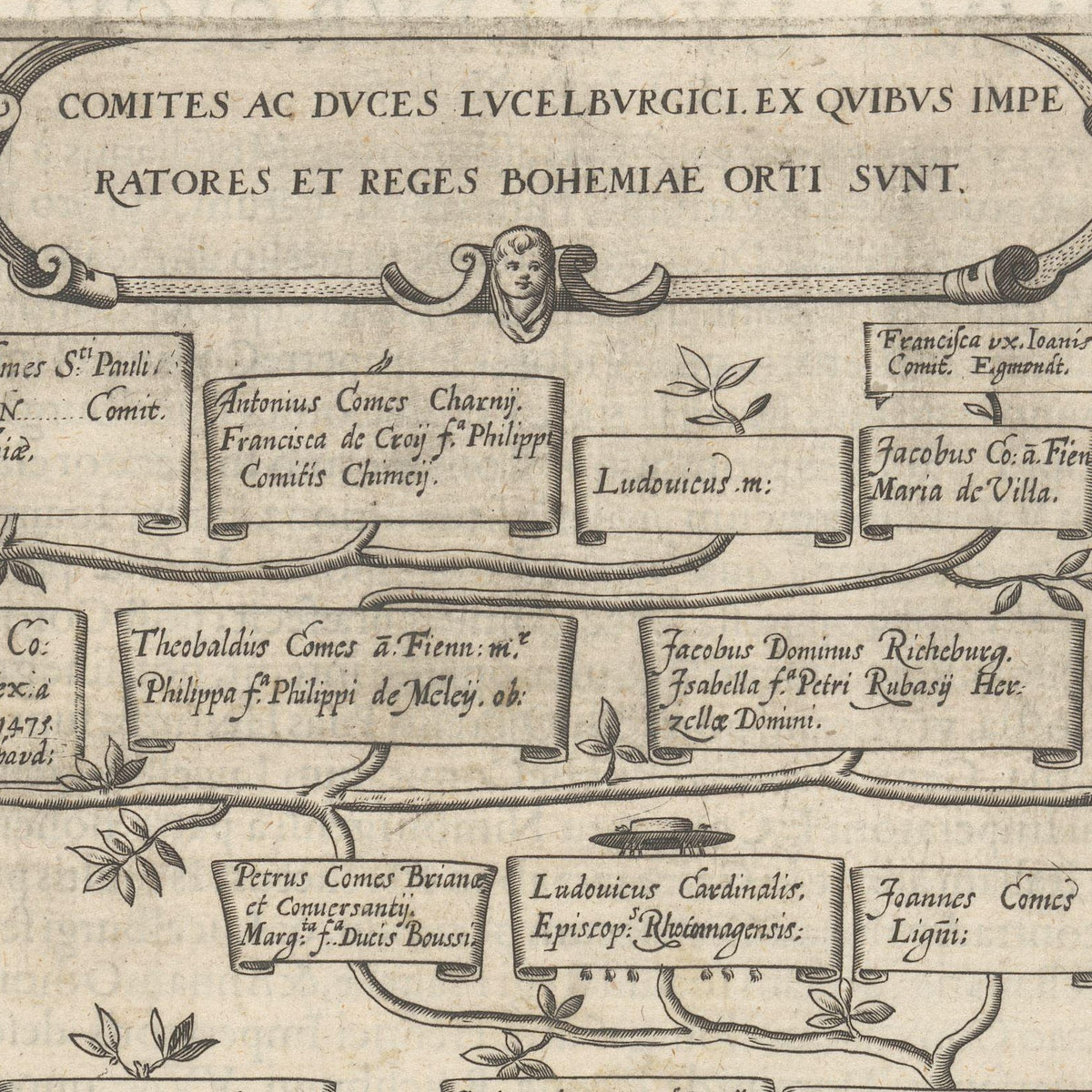 Stamboom van de graven en hertogen van Luxemburg, 1050-1476 - Dominicus Custos - Artwork detail