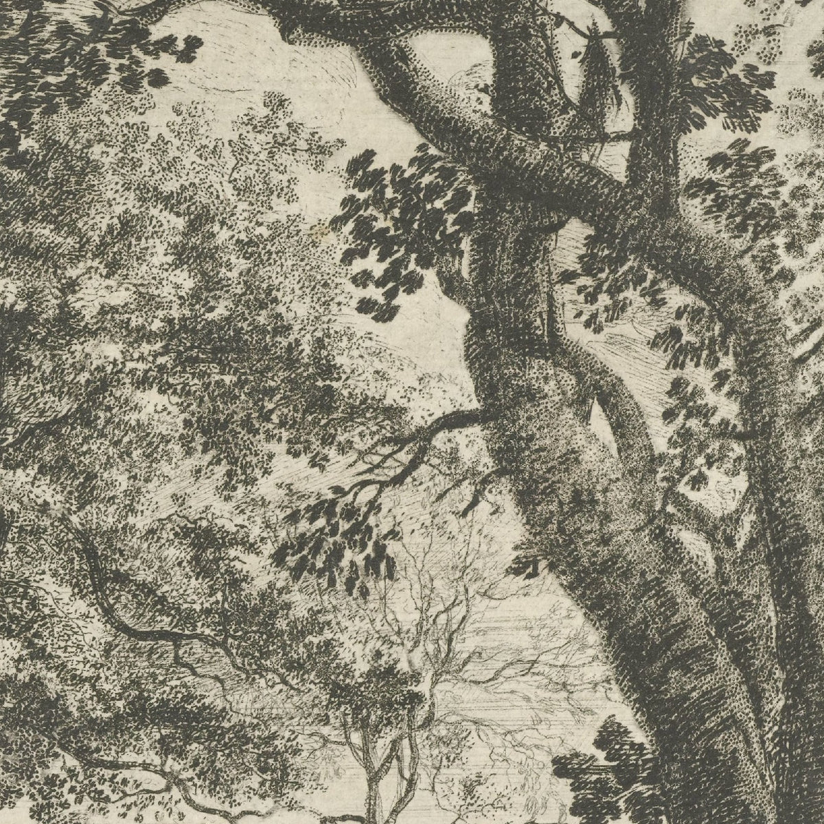Herten in het Haagse Bos - Roelant Roghman - Artwork detail