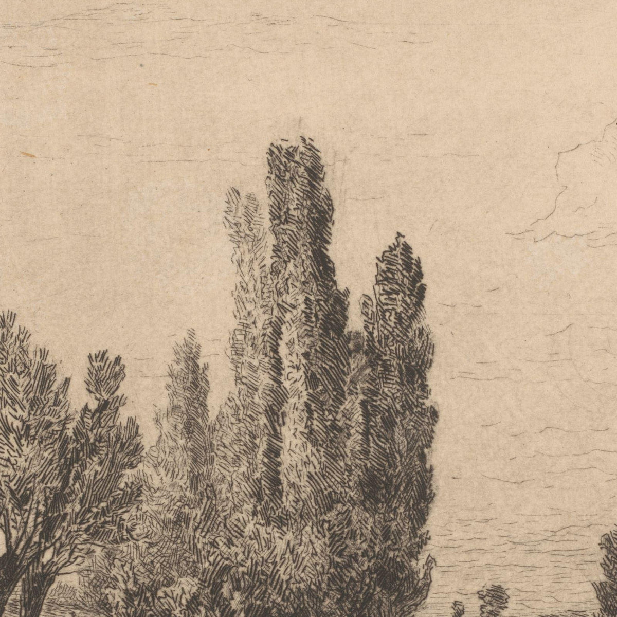 Landschap bij De Steeg - Carel Nicolaas Storm van 's-Gravesande - Artwork detail
