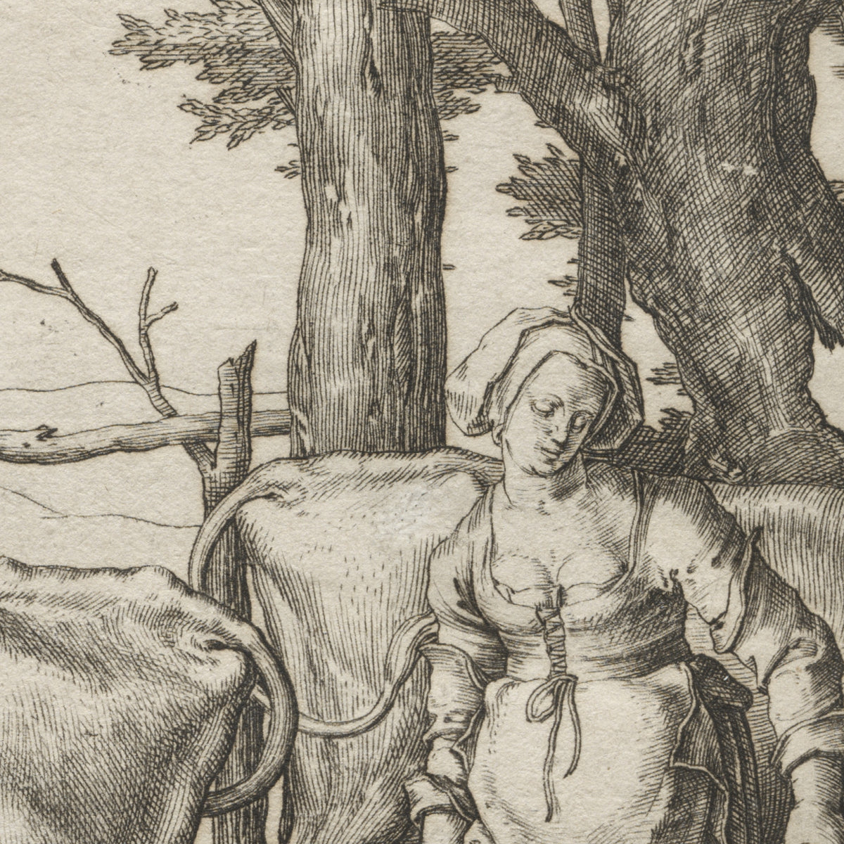 The Milkmaid - Lucas van Leyden - Artwork detail