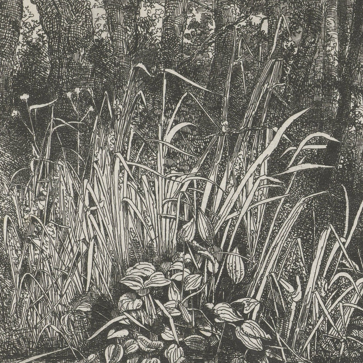 Bosbeekje (Woodland Stream) - Jacobus Ludovicus Cornet - Artwork detail