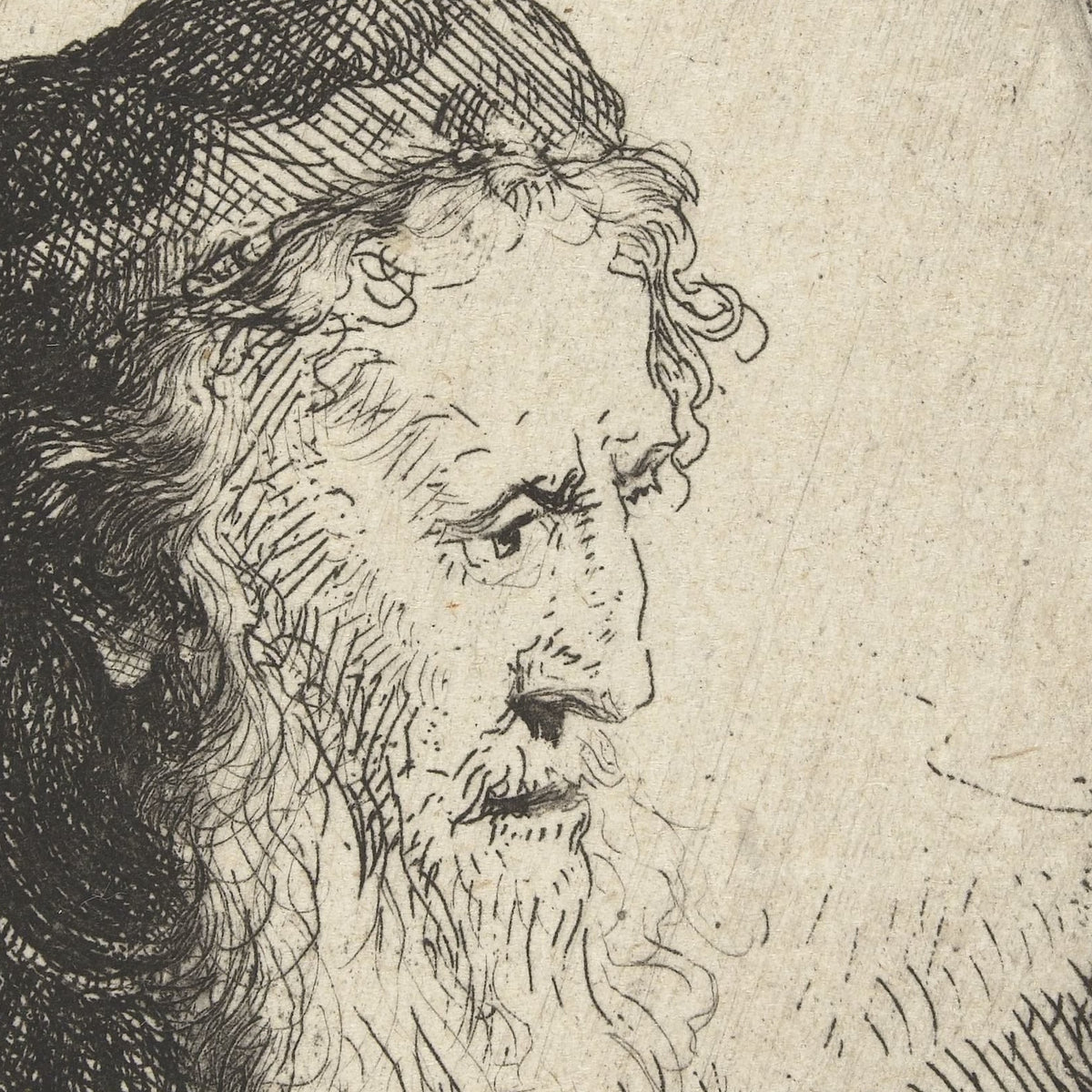 Oude man met baard - Ferdinand Bol - Artwork detail