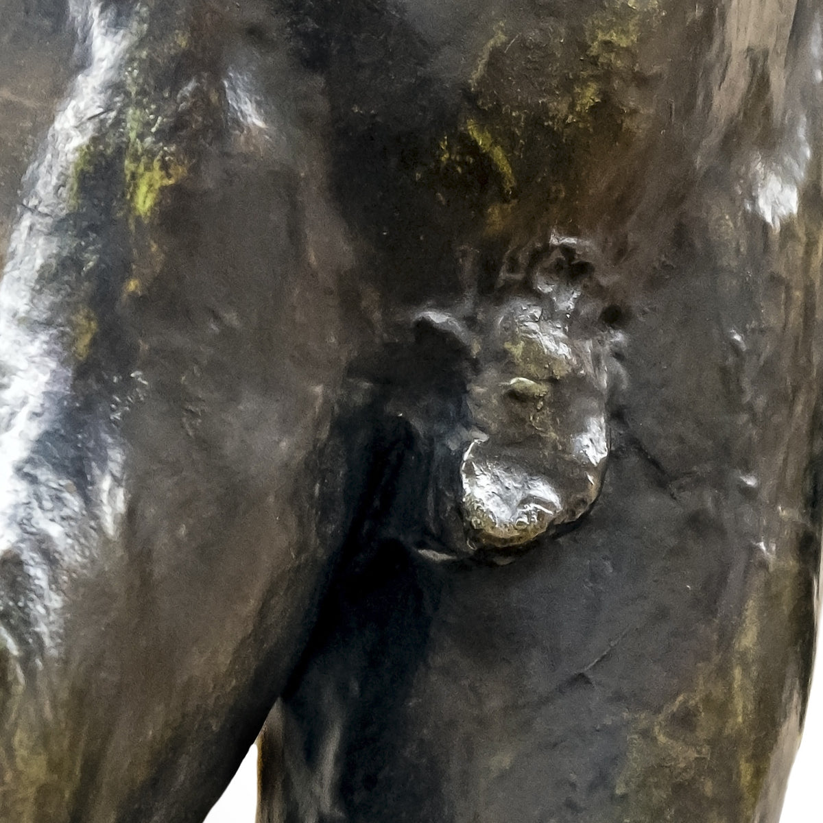 The Age of Bronze - Auguste Rodin - Artwork detail