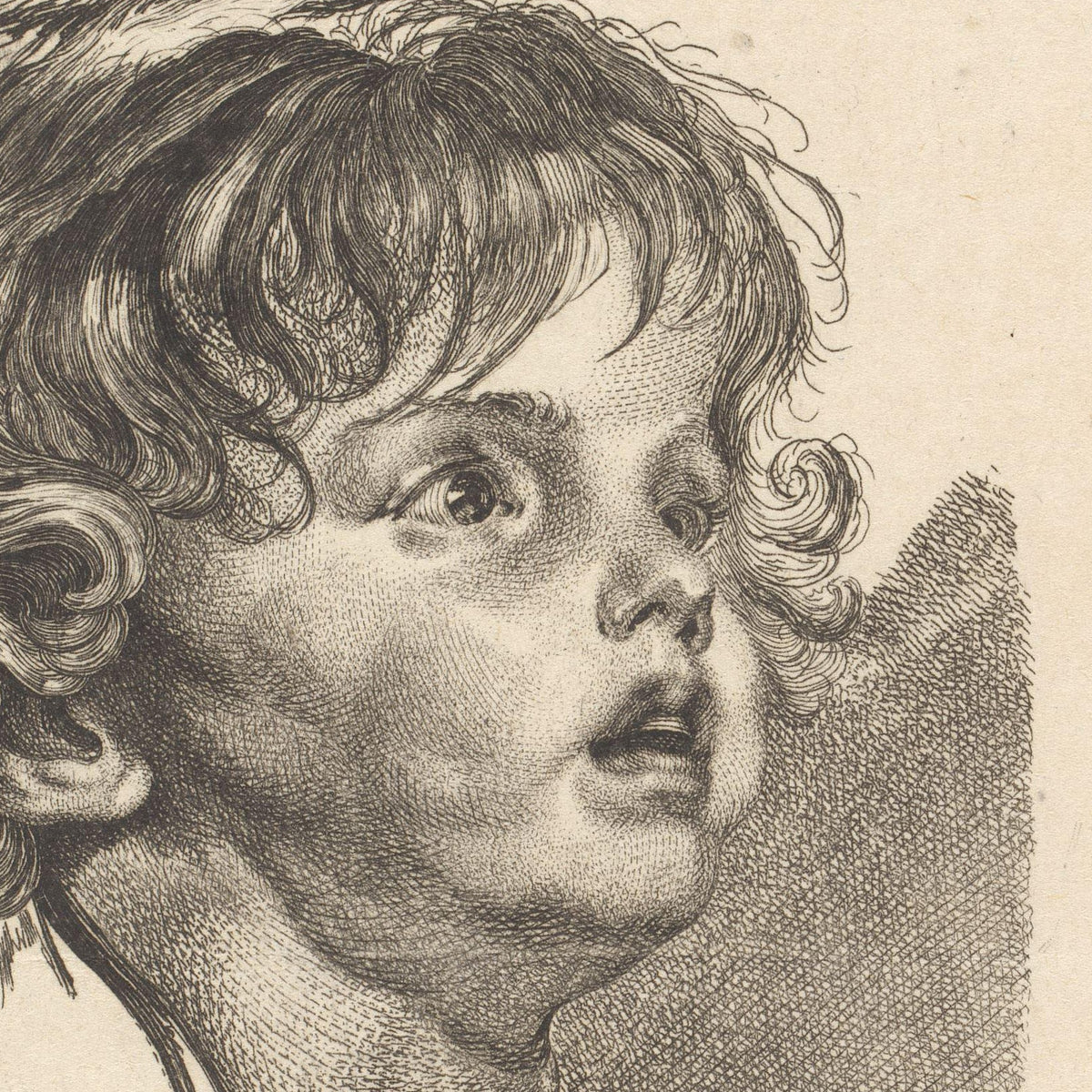 Hoofd van een peuter, omhoog kijkend - Carl Wilhelm Weisbrod - Artwork detail