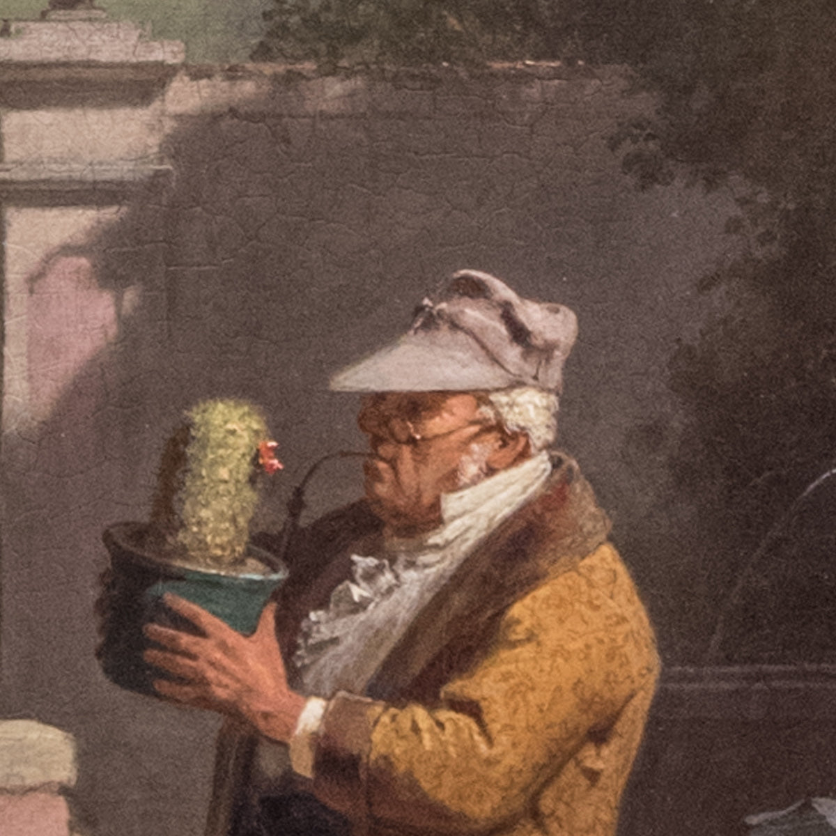 The Cactus Lover - Carl Spitzweg - Artwork detail