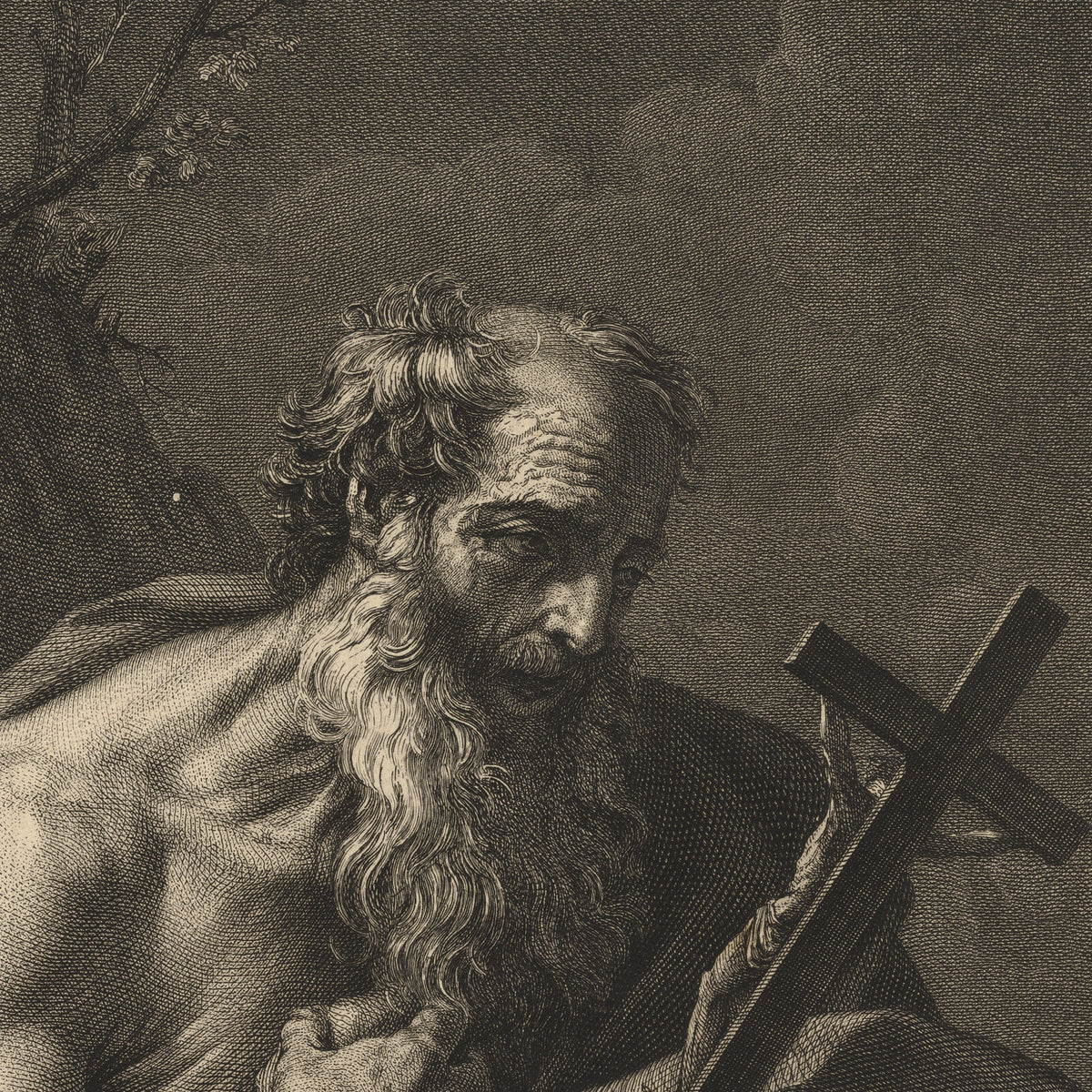 Saint Jerome - Domenico Cunego - Artwork detail