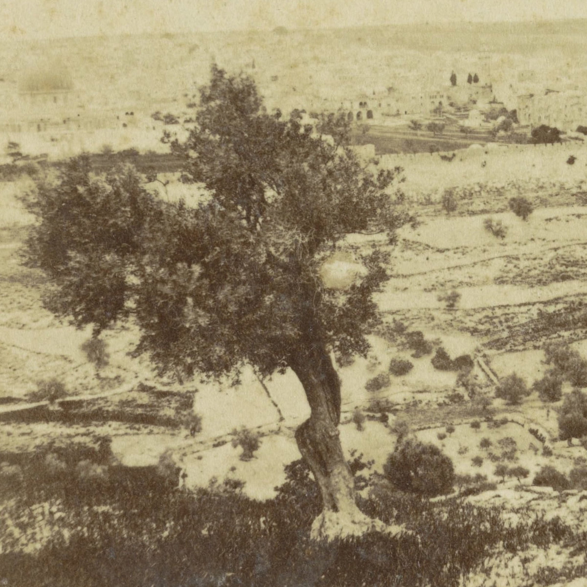 Gezicht op Jeruzalem vanaf de Olijfberg - Francis Frith - Artwork detail