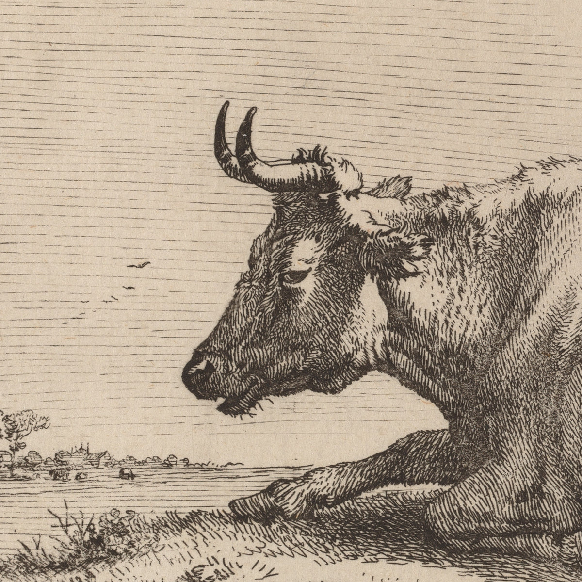 The Cow Lying Down Near a Fence - Paulus Potter - Artwork detail