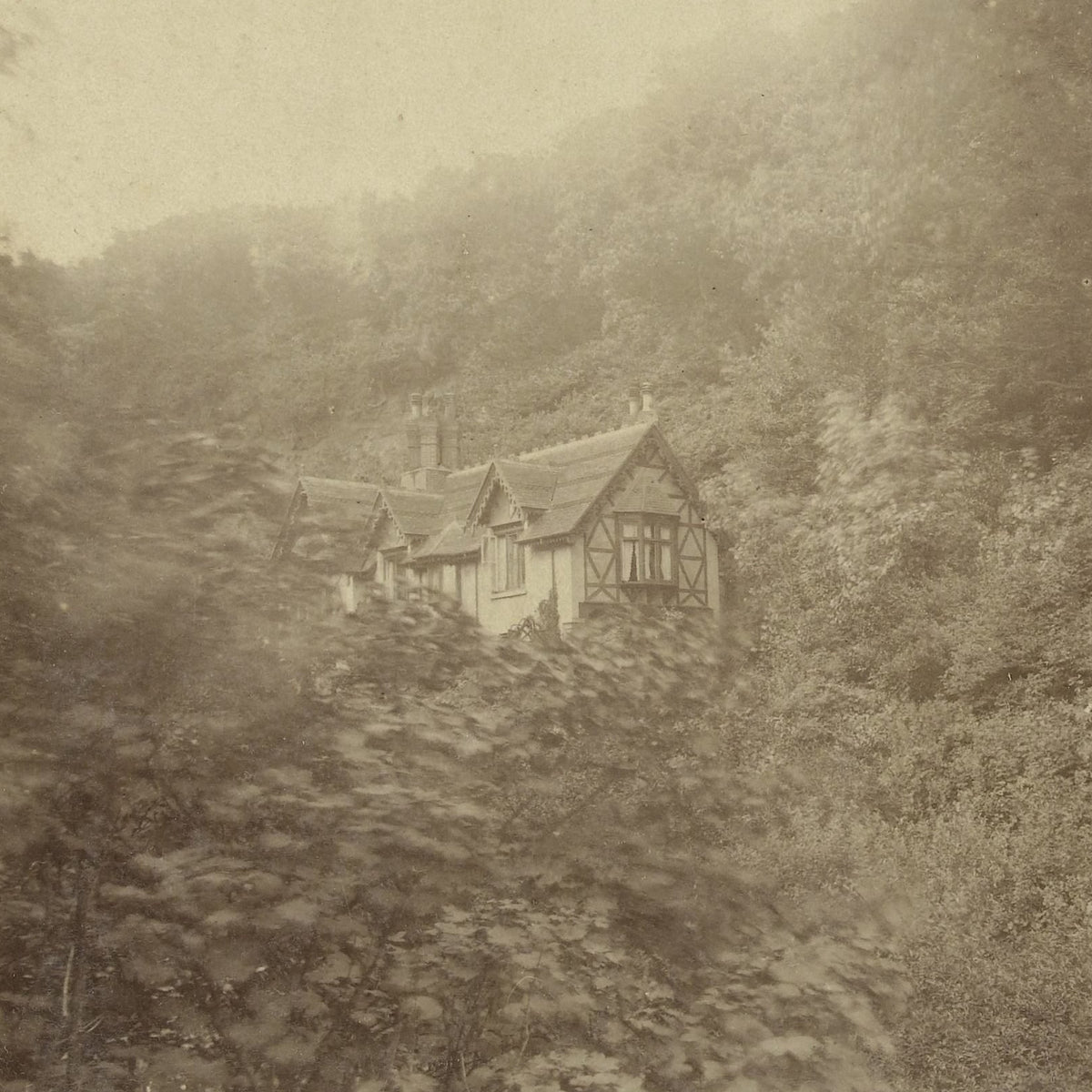 Gezicht op de Chine Inn te Shanklin - Henry Pauw van Wieldrecht - Artwork detail