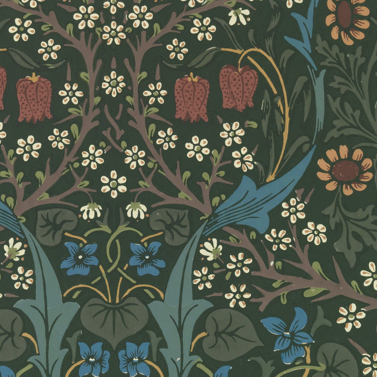 Blackthorn - William Morris - Artwork detail