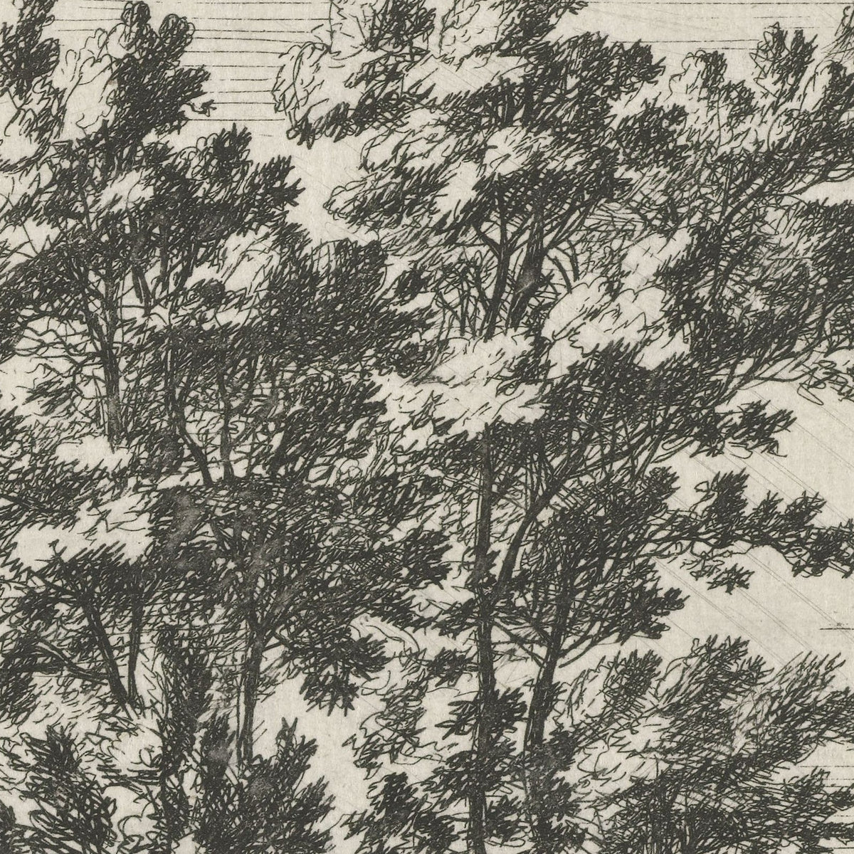 Aerckel - Roelant Roghman - Artwork detail