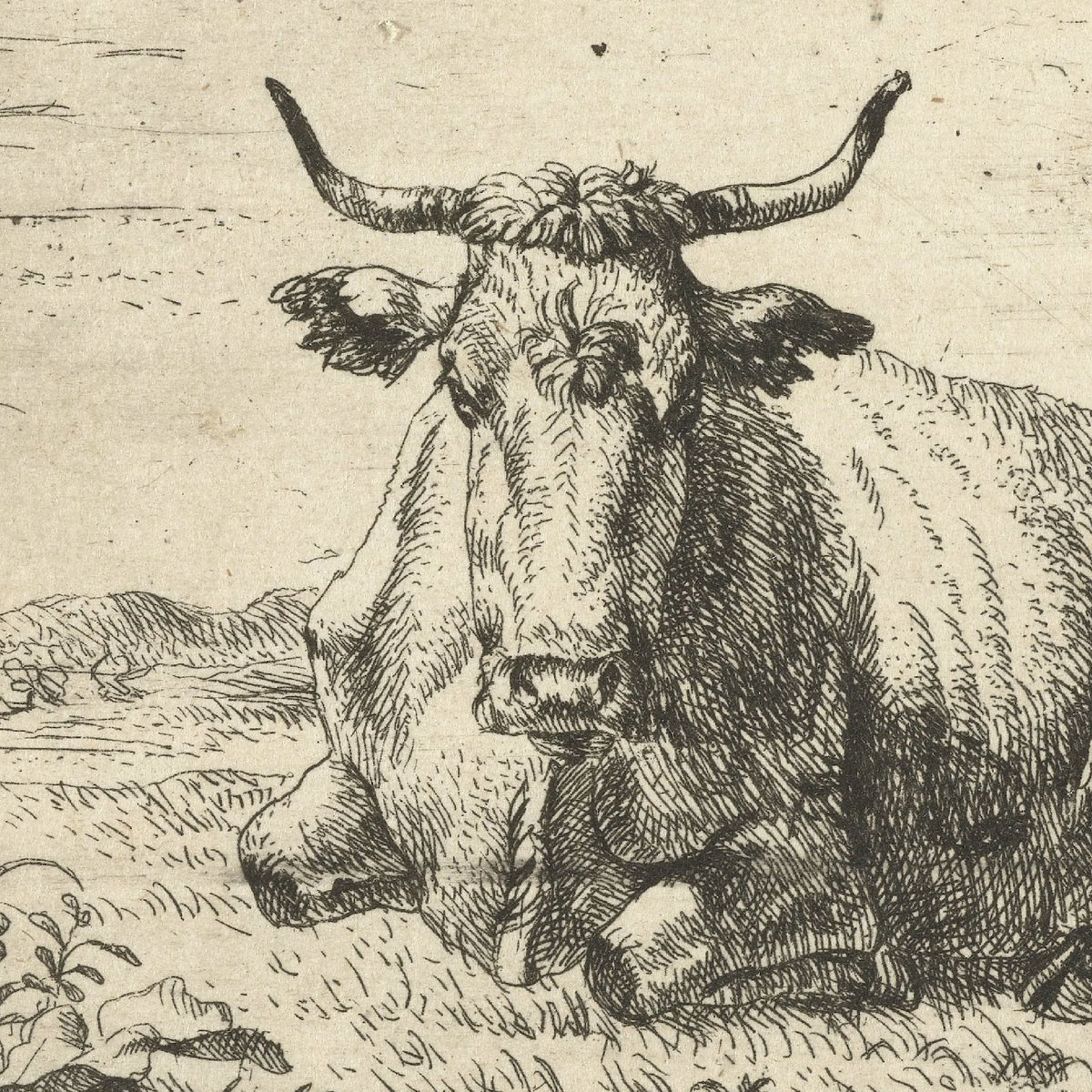 Liggende koe (Recumbent Cow) - Adriaen van de Velde - Artwork detail