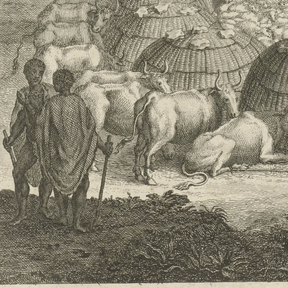 Khoikhoi bij een kraal met hun vee - Jan Caspar Philips - Artwork detail