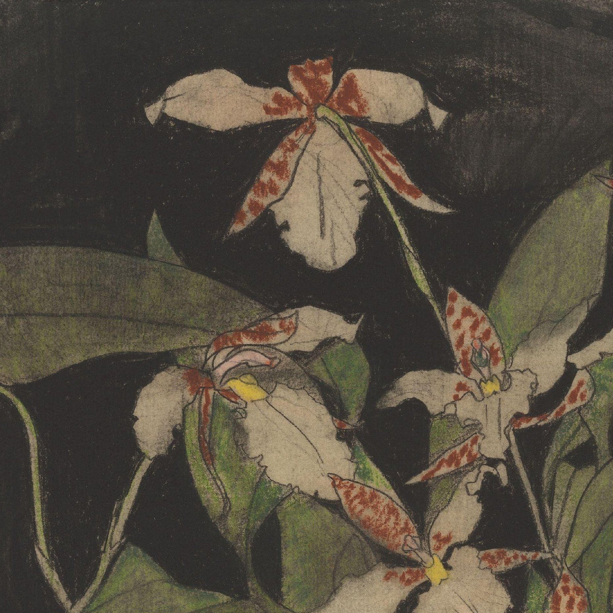 Bloeiende orchideeëntak - Theo Nieuwenhuis - Artwork detail