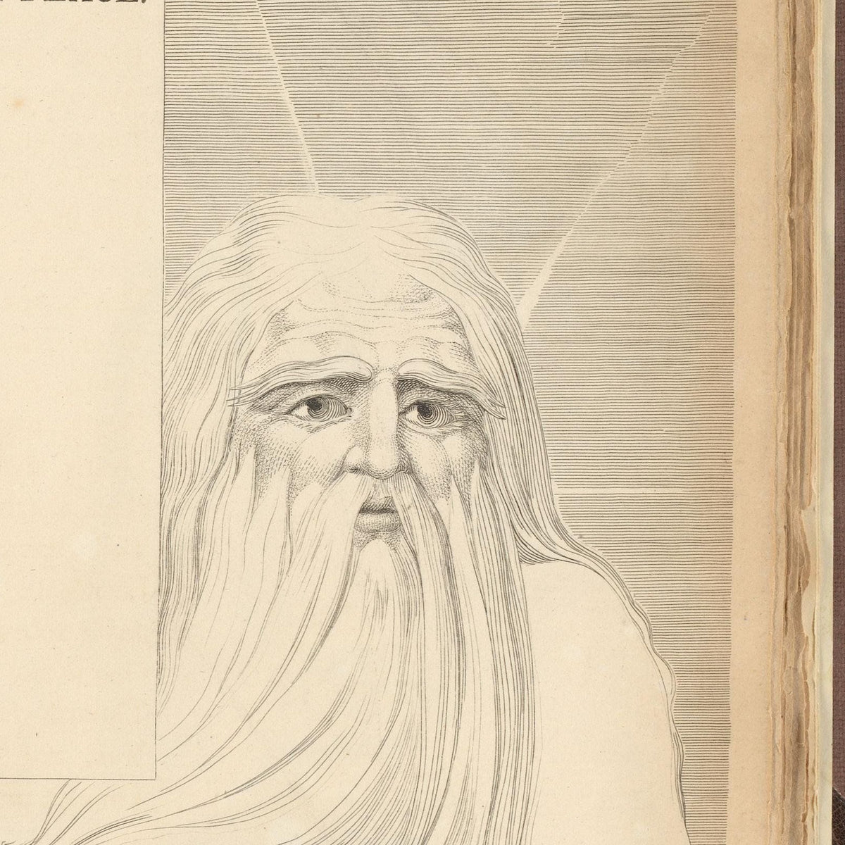 Bearded Man with Scroll - William Blake - Artwork detail