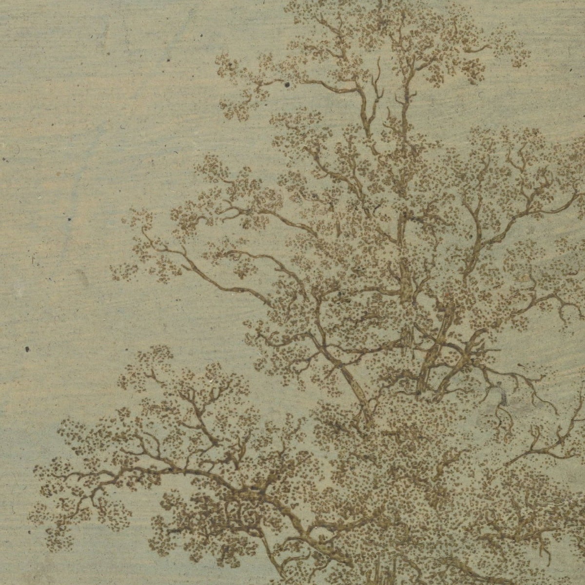 De twee bomen (een els en een es) - Hercules Segers - Artwork detail