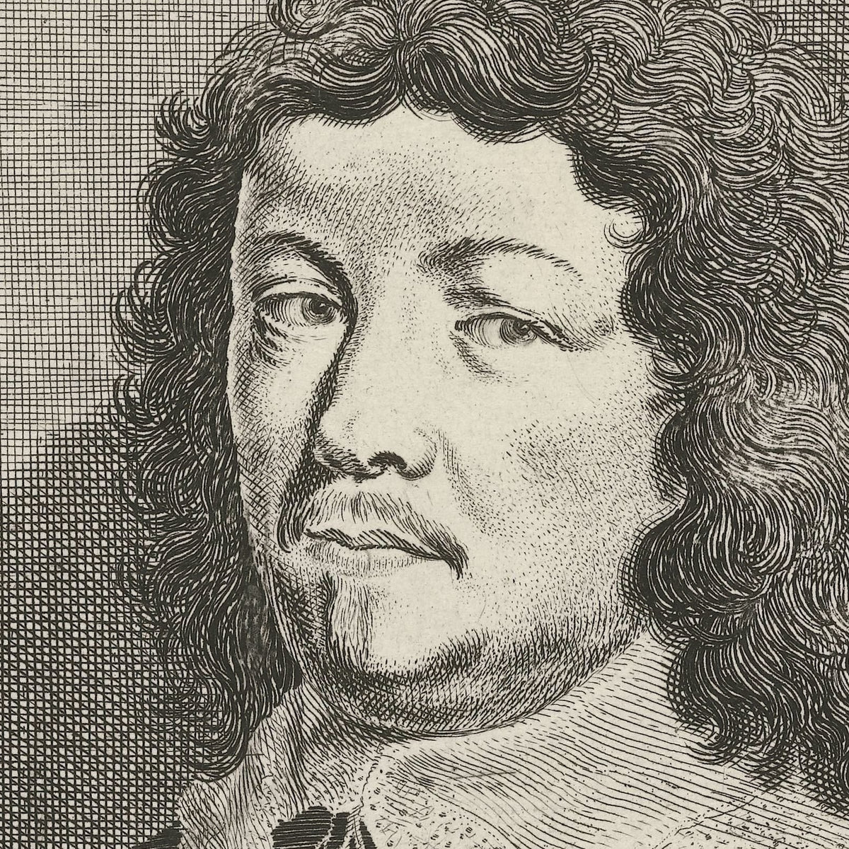 Portret van Willem van Ripperda - Pieter Nolpe - Artwork detail