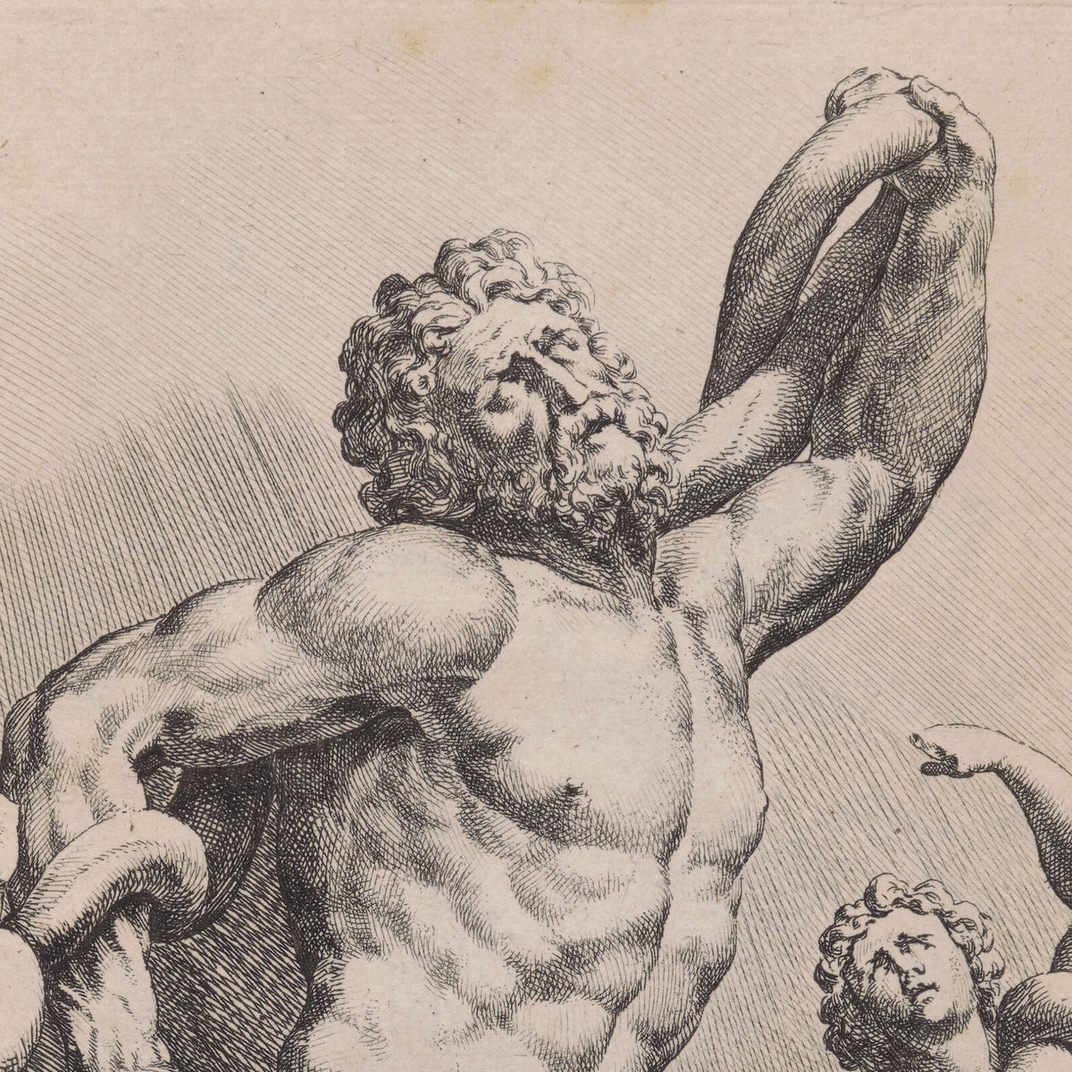 Plate 17: Laocoon and his Sons - Jan de Bisschop - Artwork detail