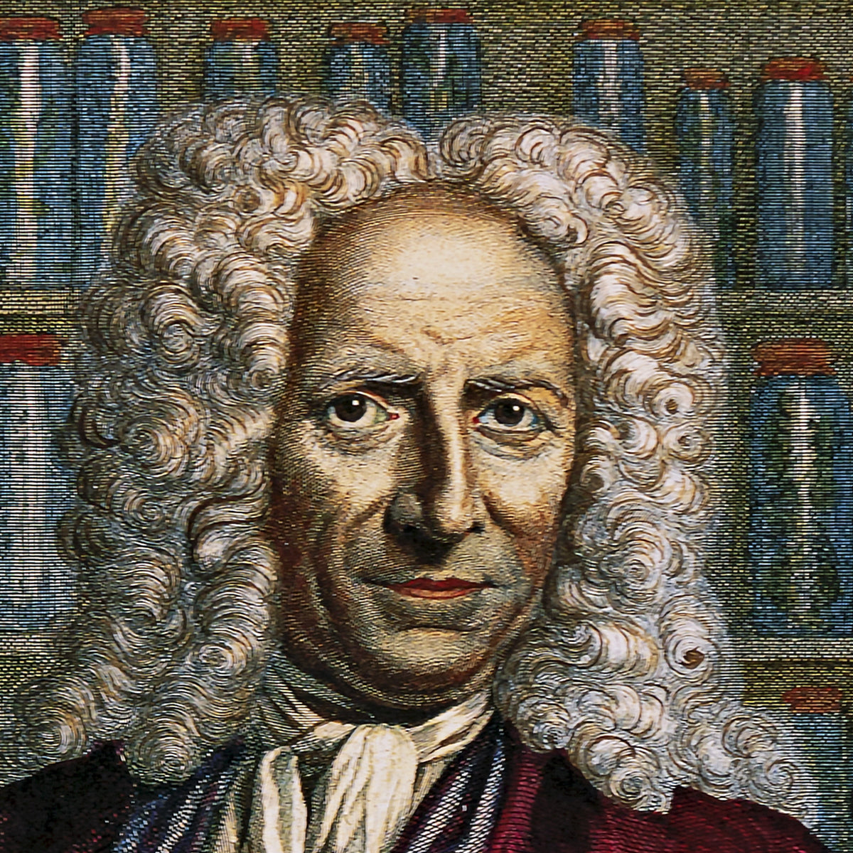 Portrait of Albertus Seba - Jacobus Houbraken - Artwork detail