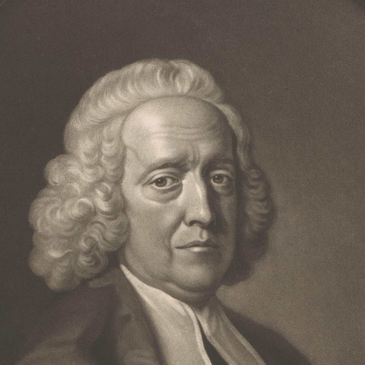 Portrait of Stephen Hales - James McArdell - Artwork detail