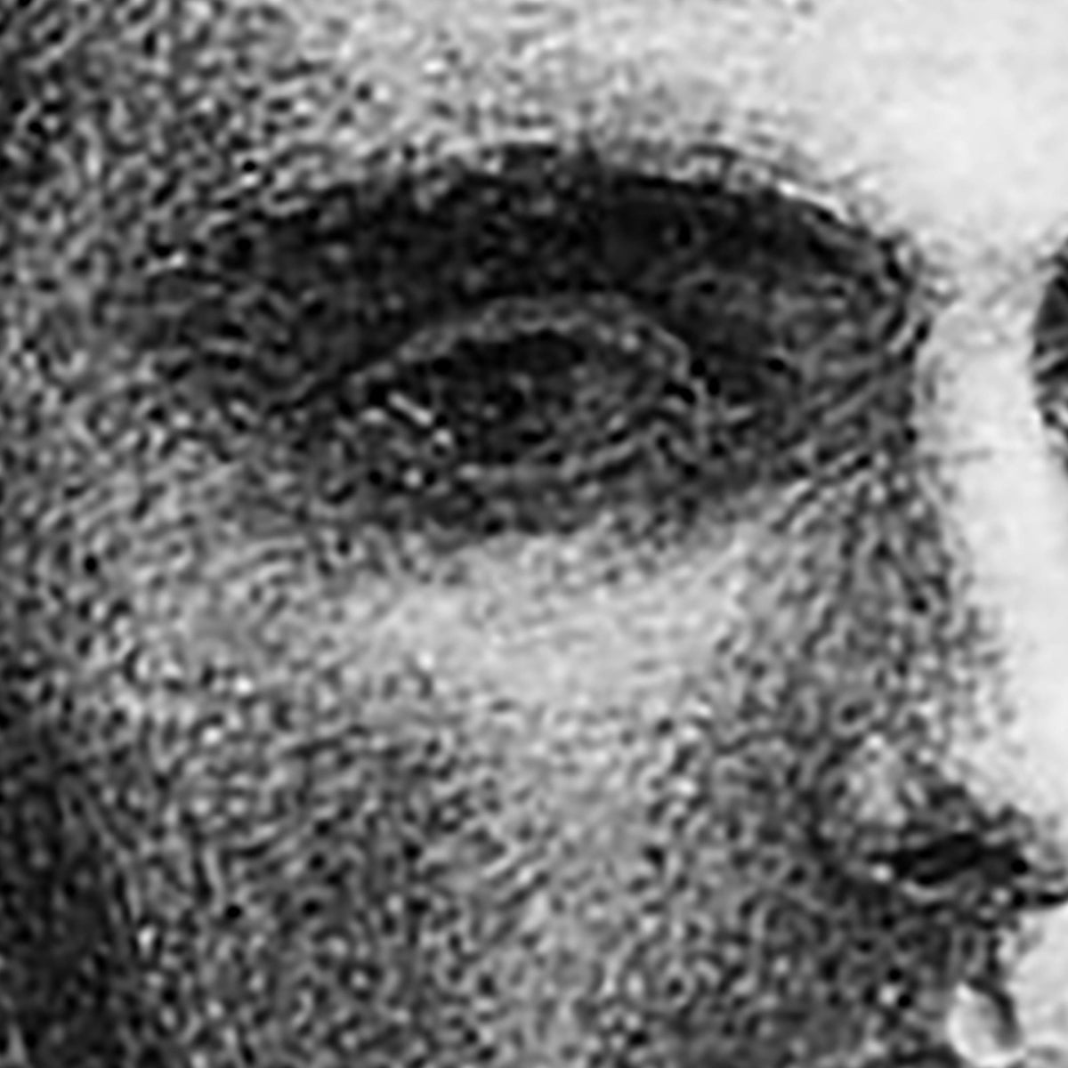 Portrait of William Michael Rossetti - Dante Gabriel Rossetti - Artwork detail
