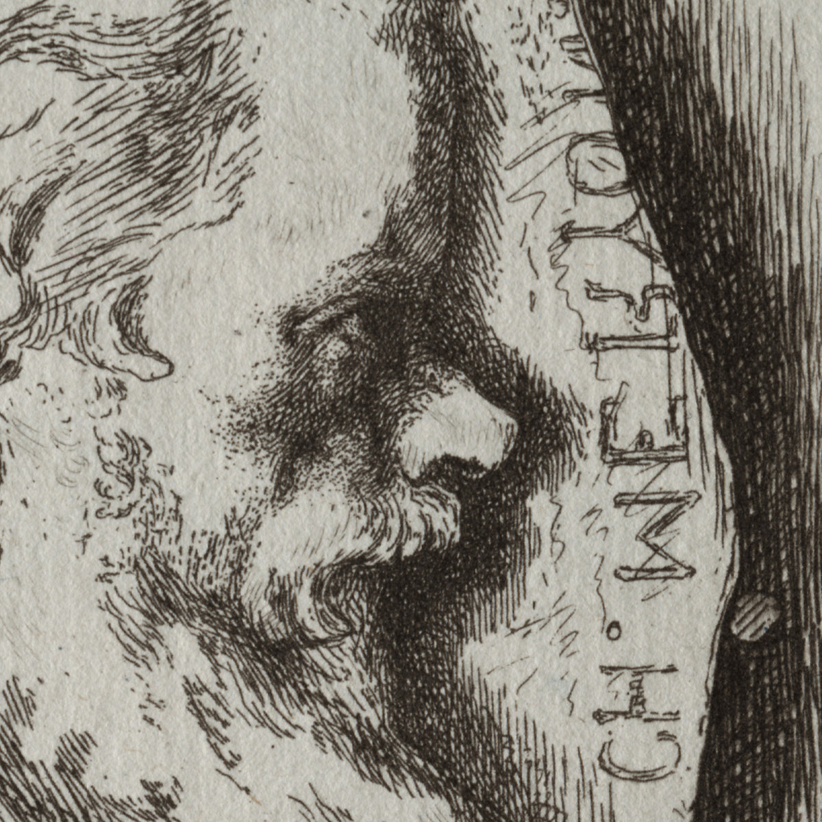 Charles Méryon - Félix Bracquemond - Artwork detail