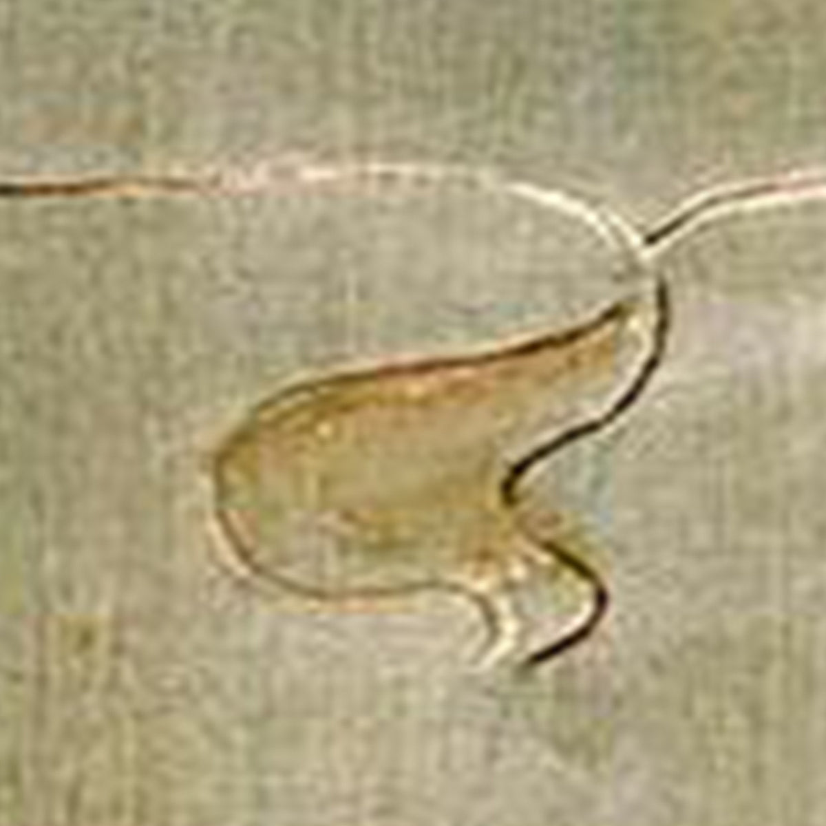 Aubade - Mark Rothko - Artwork detail